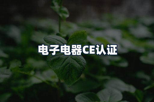 电子电器CE认证